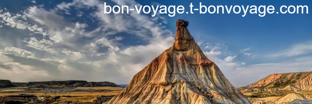 bon-voyage.t-bonvoyage.com